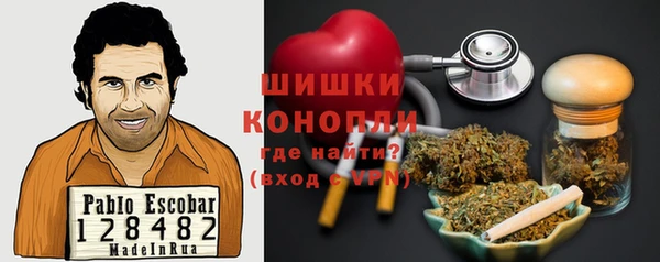 прущие грибы Наволоки