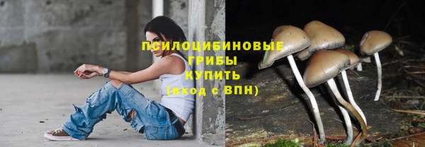 трава Алзамай