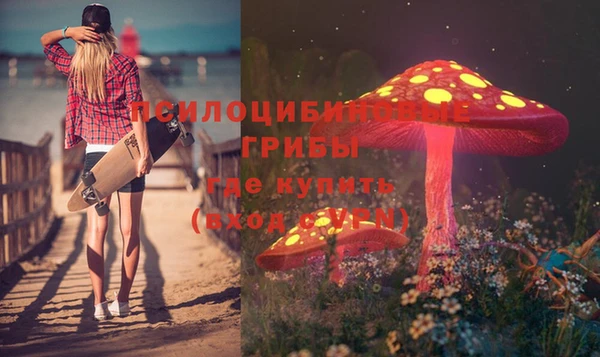 прущие крисы Аркадак