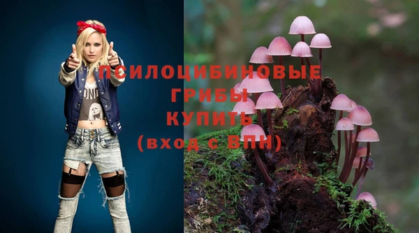 трава Алзамай