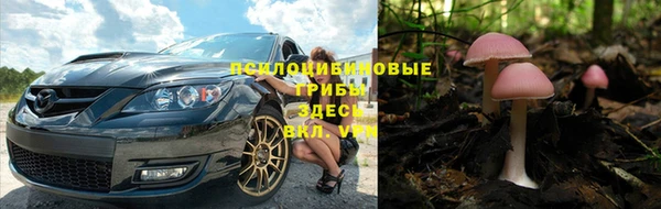 трава Алзамай
