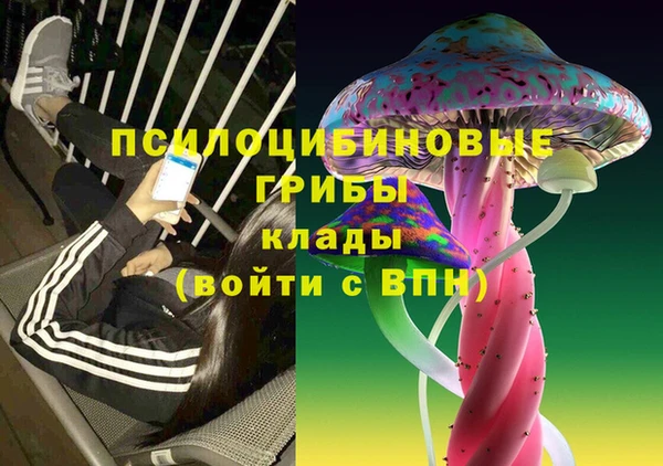 прущие грибы Наволоки