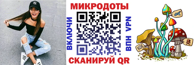 Псилоцибиновые грибы Psilocybine cubensis  Фатеж 